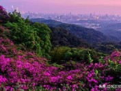 中央巡视组进驻后,公安厅原副厅长主动投案